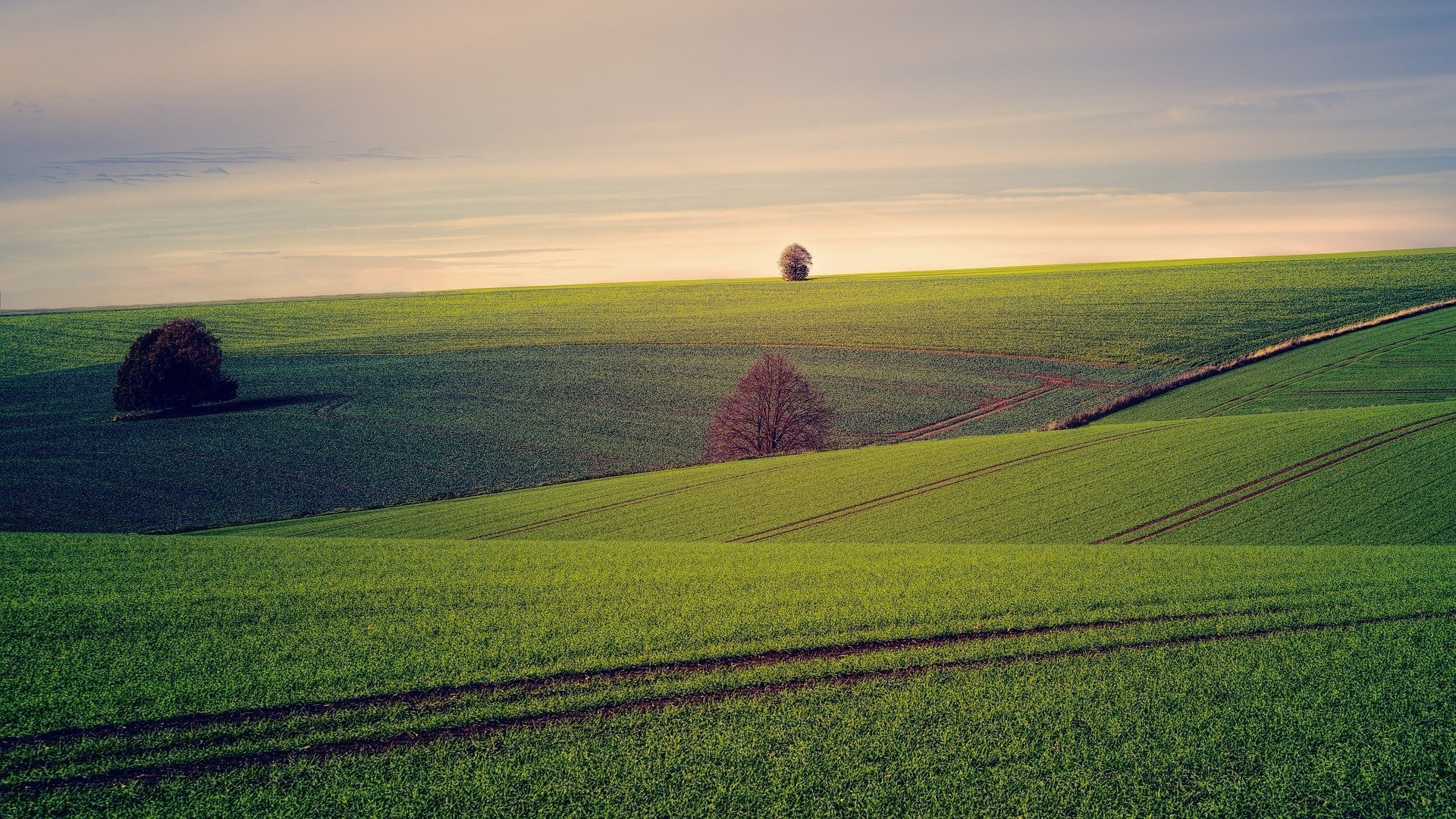 La technologie a révolutionné le monde de l'agriculture.