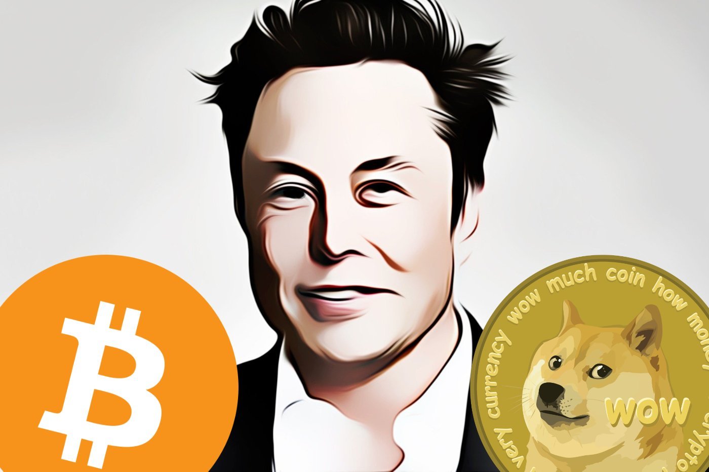 Elon Musk Bitcoin Dogecoin