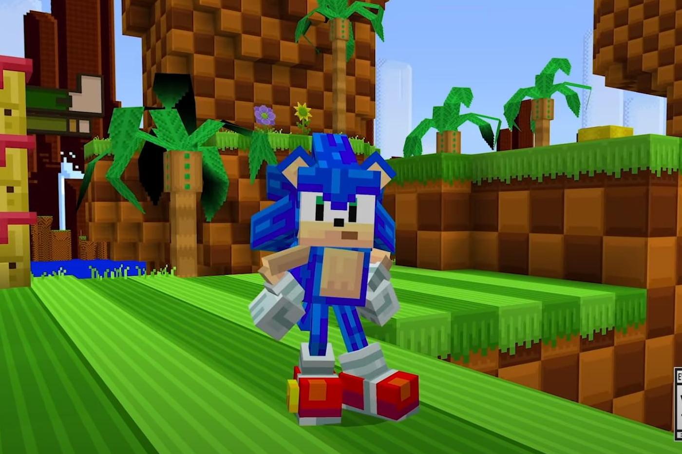 Sonic Minecraft crossover