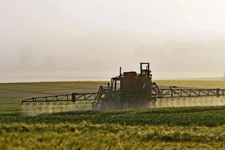 Pesticides dans un champ