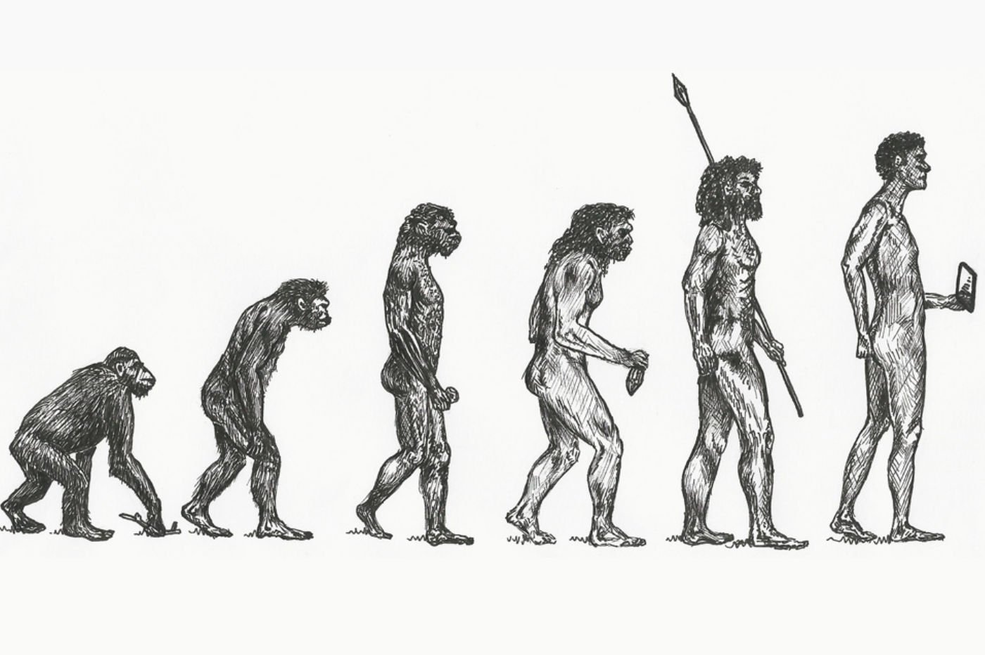 homo-sapiens-evolution