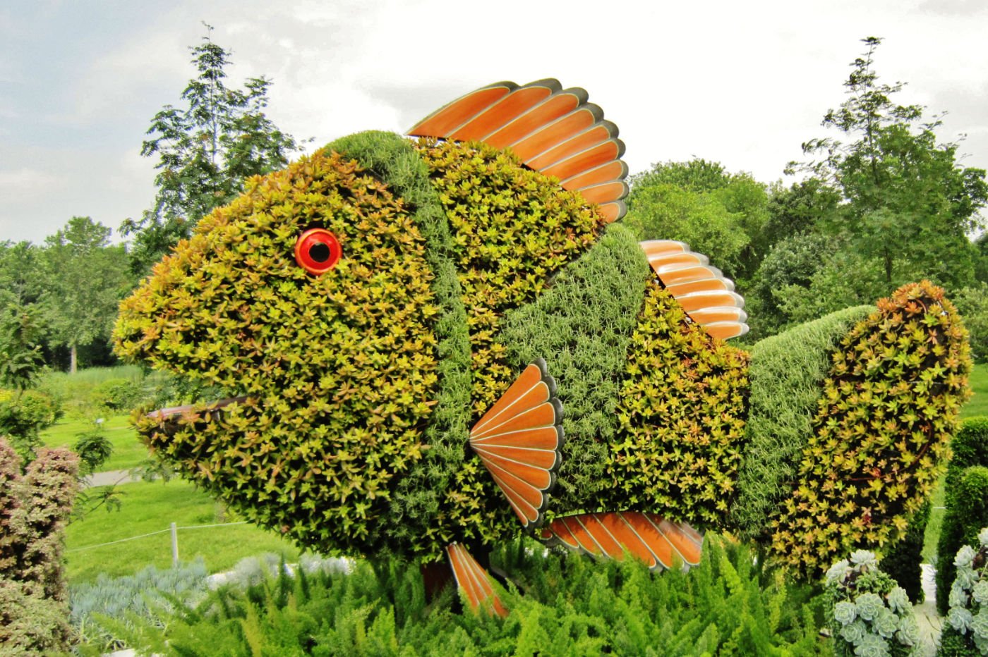 poisson-vegetal