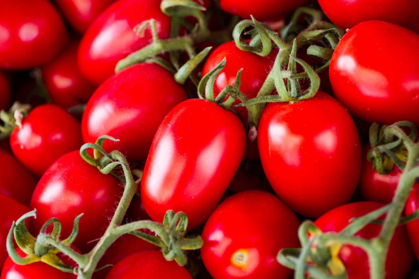 tomate-haut-gaba-japon-crispr