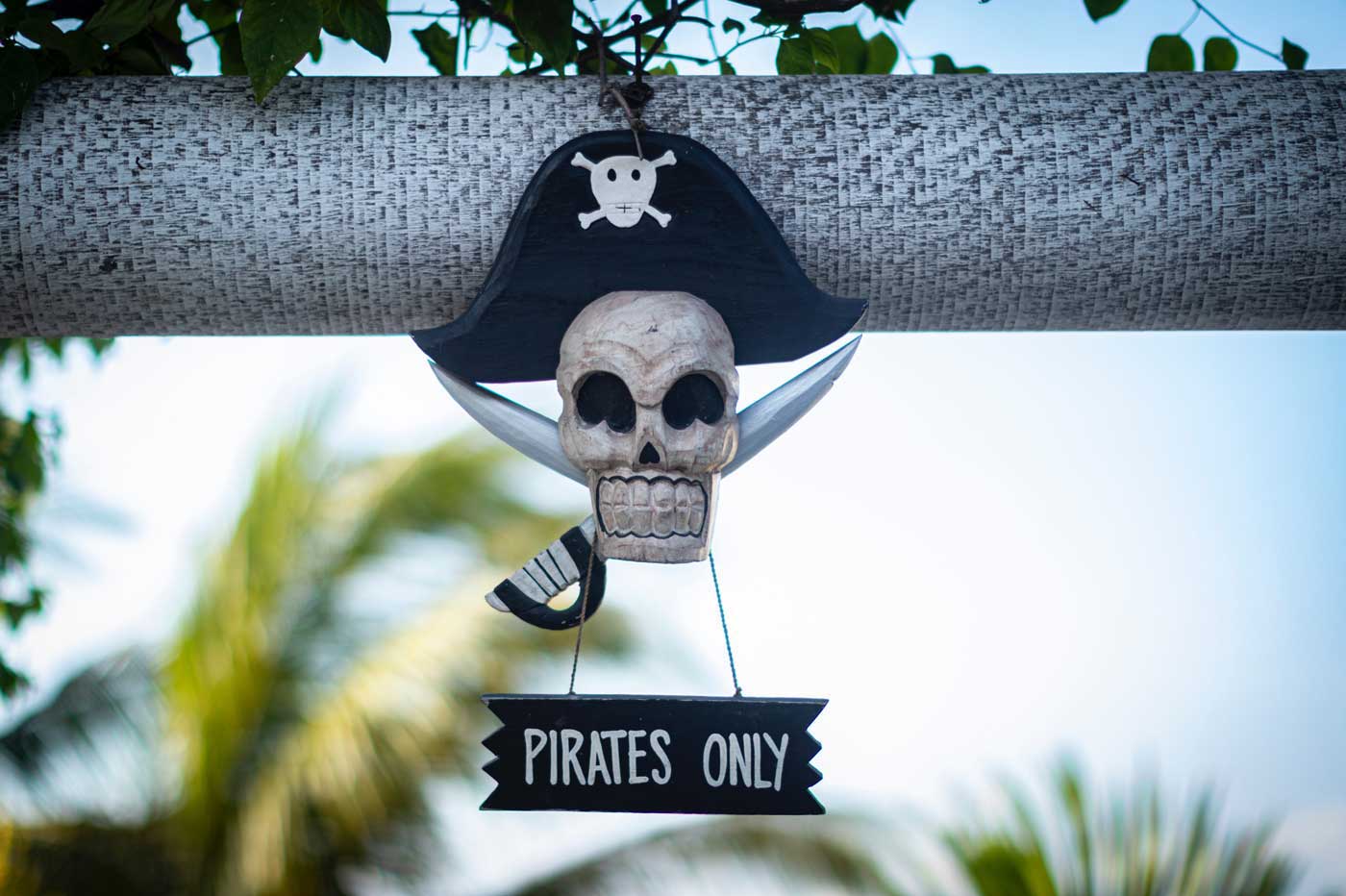 Pirate Piratage