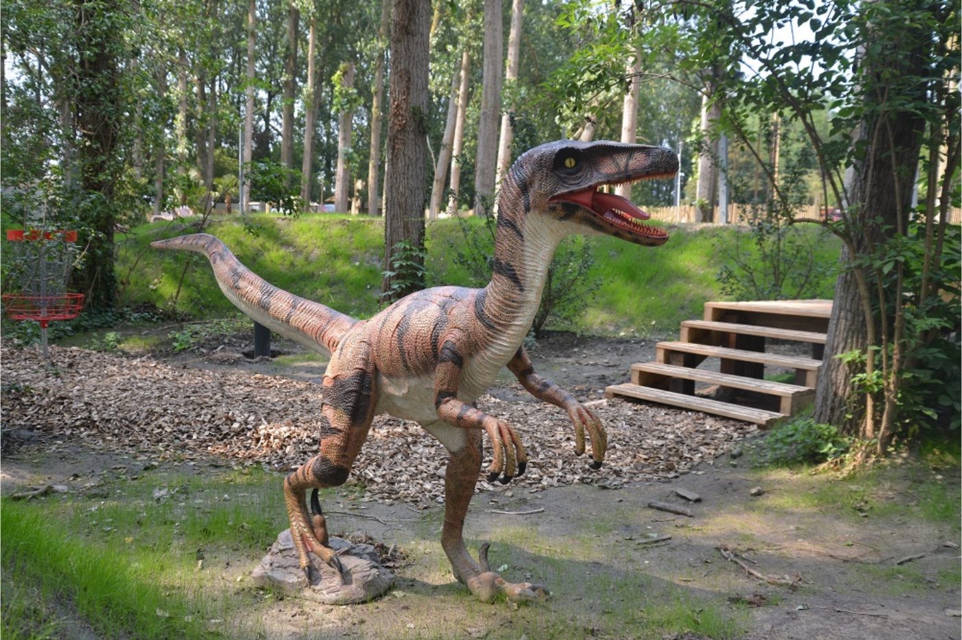 Le Dino Parc Disc Golf - Ville de Coudekerque-Branche