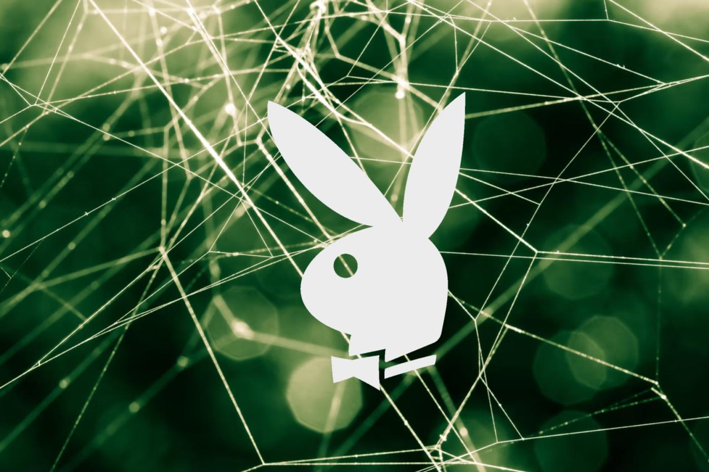 logo playboy web