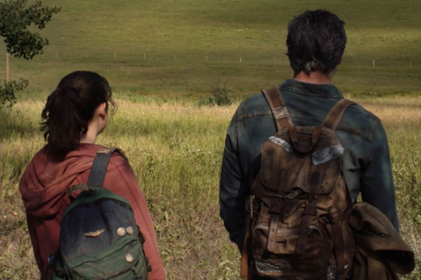 The last of us premières images séries