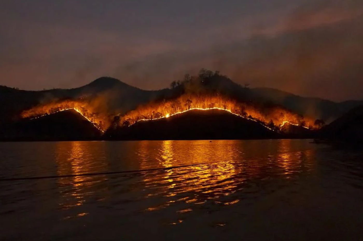 wildfire-exemple-feu-foret