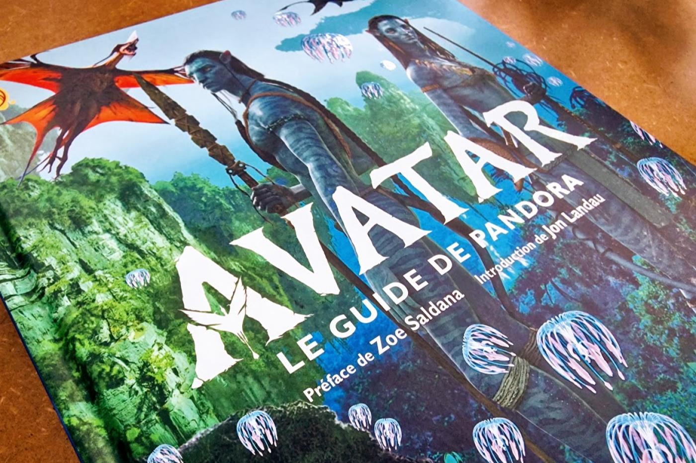 Avatar Guide officiel cover
