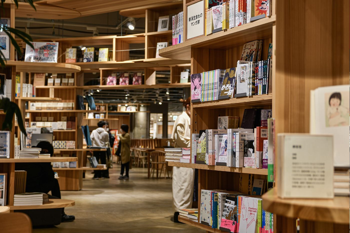 Manga librairie