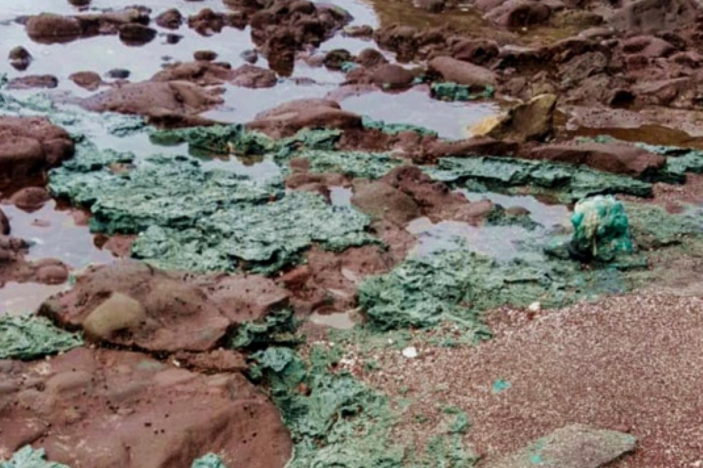 des "plastiroches" sur l'archipel de Trinidade