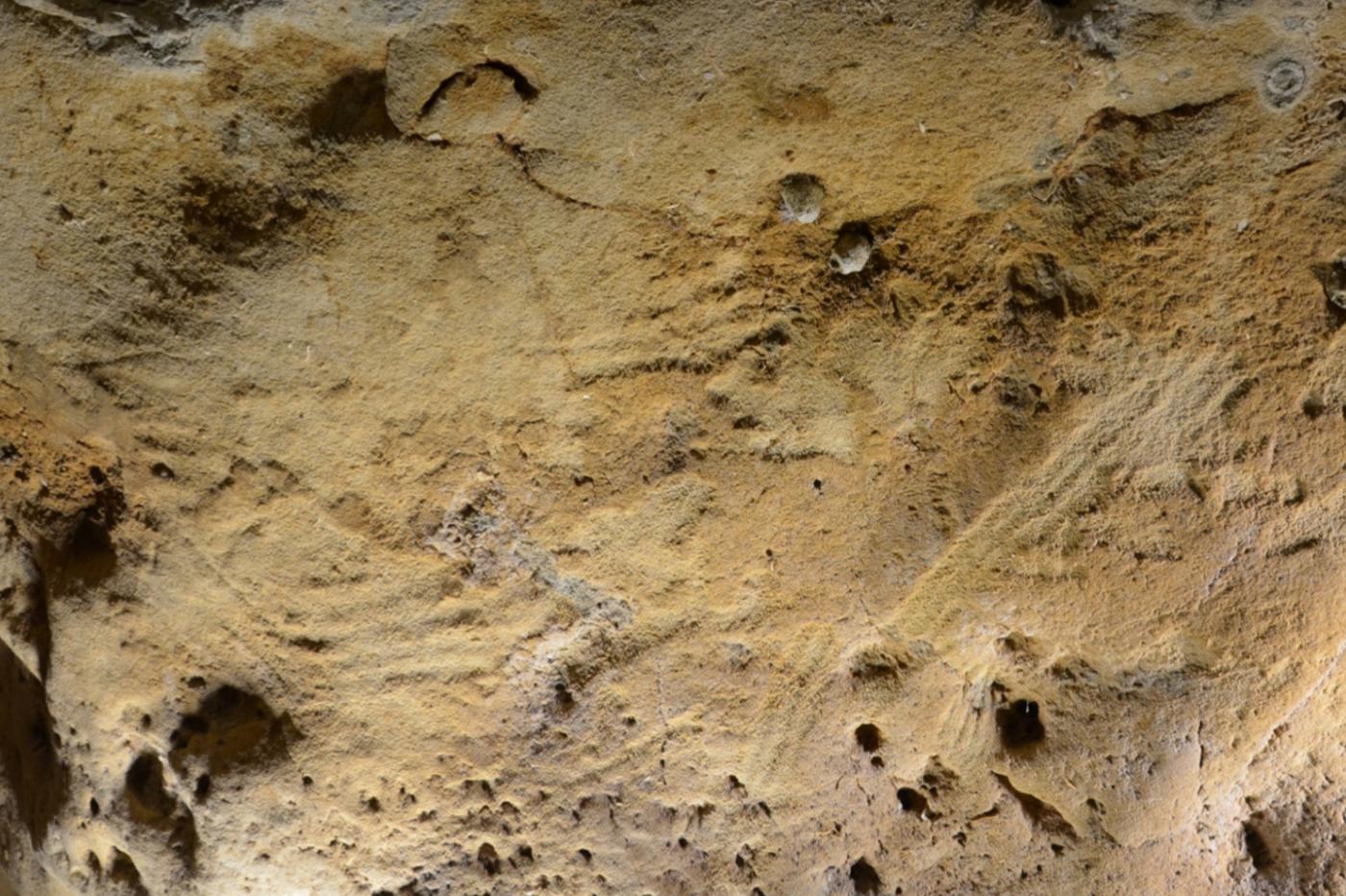 Des gravures néandertaliennes dans la grotte de Roche-Cotard