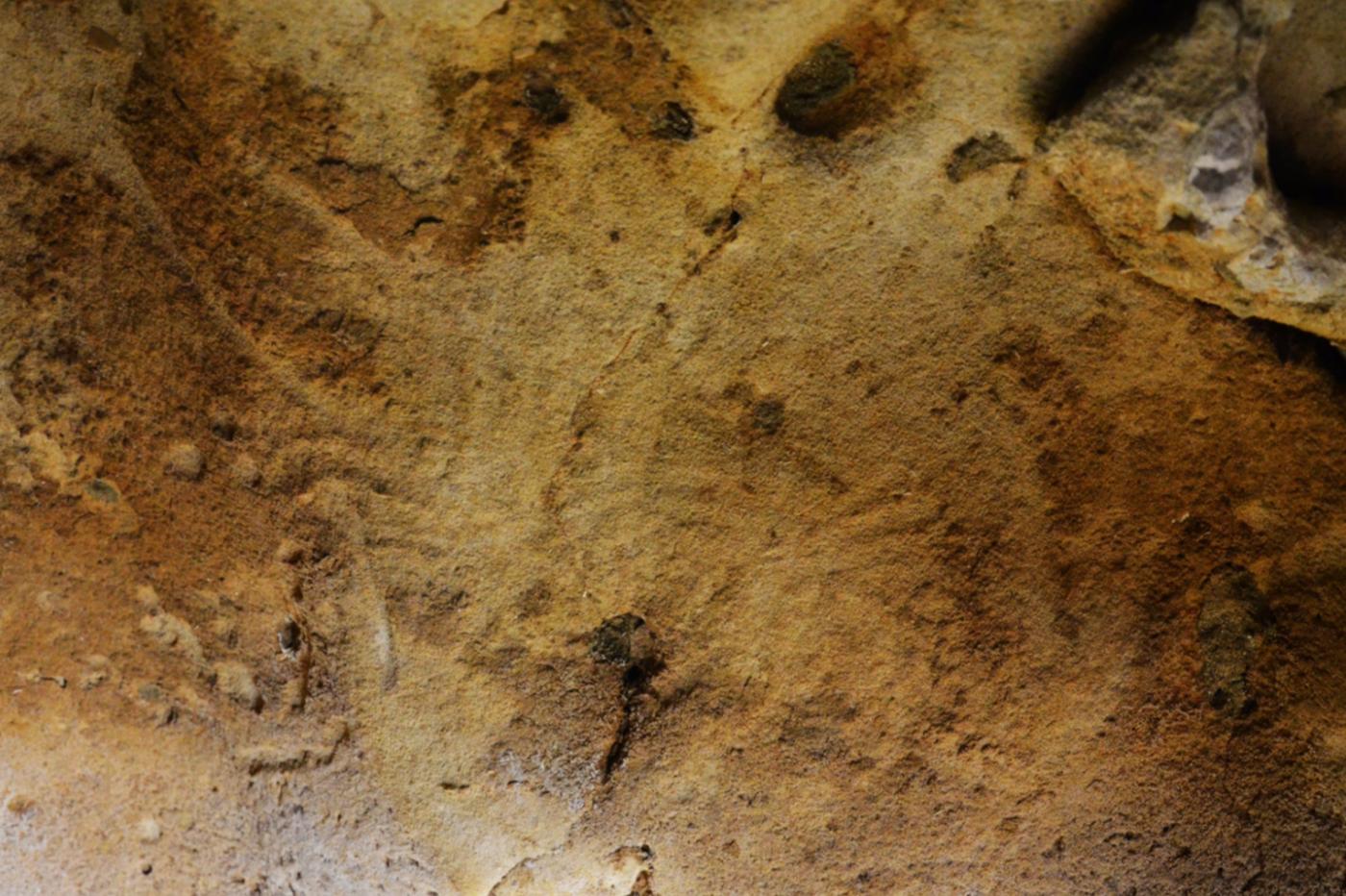 Des gravures néandertaliennes dans la grotte de Roche-Cotard