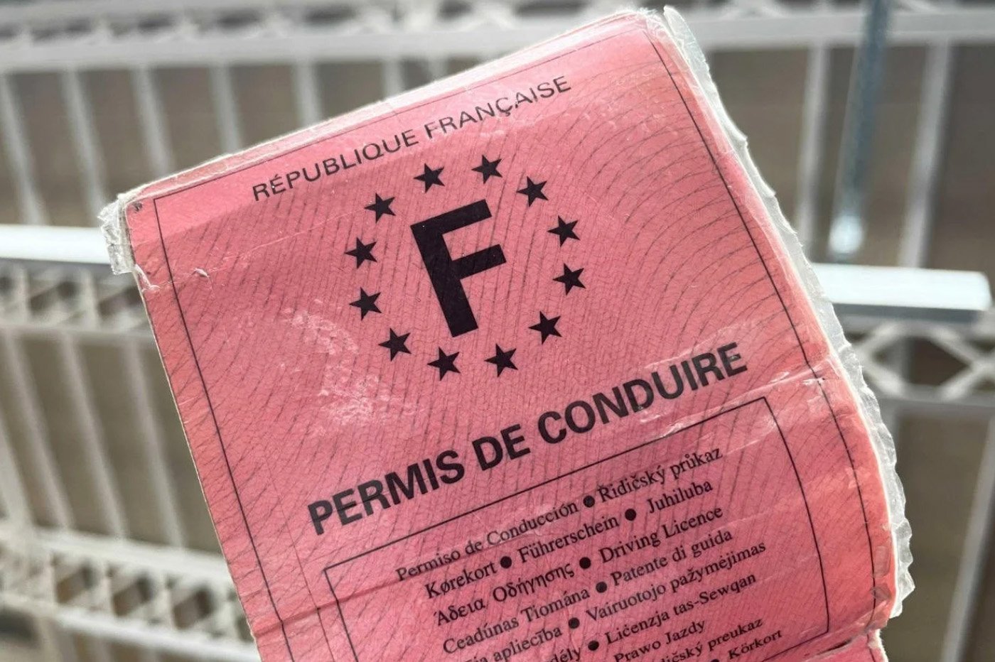 Permis de conduire rose en carton