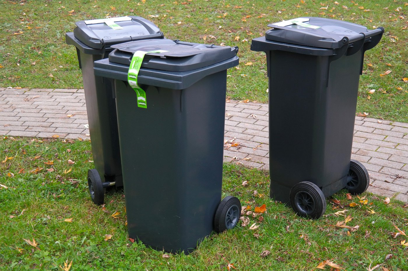 Poubelles en ville