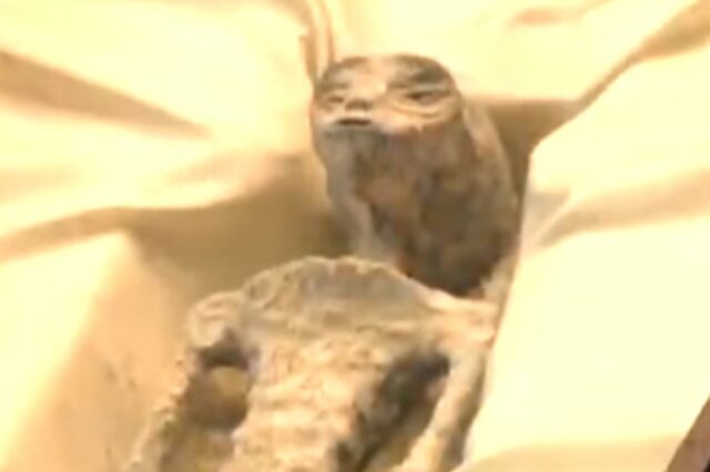 Un corps "non humain" présenté lors d'une audience devant le congrès mexicain