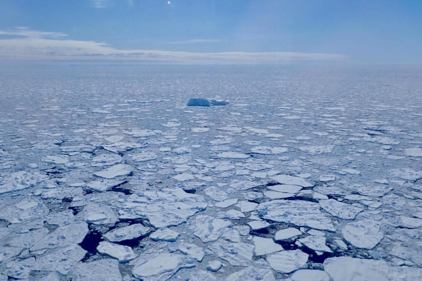 La banquise antarctique