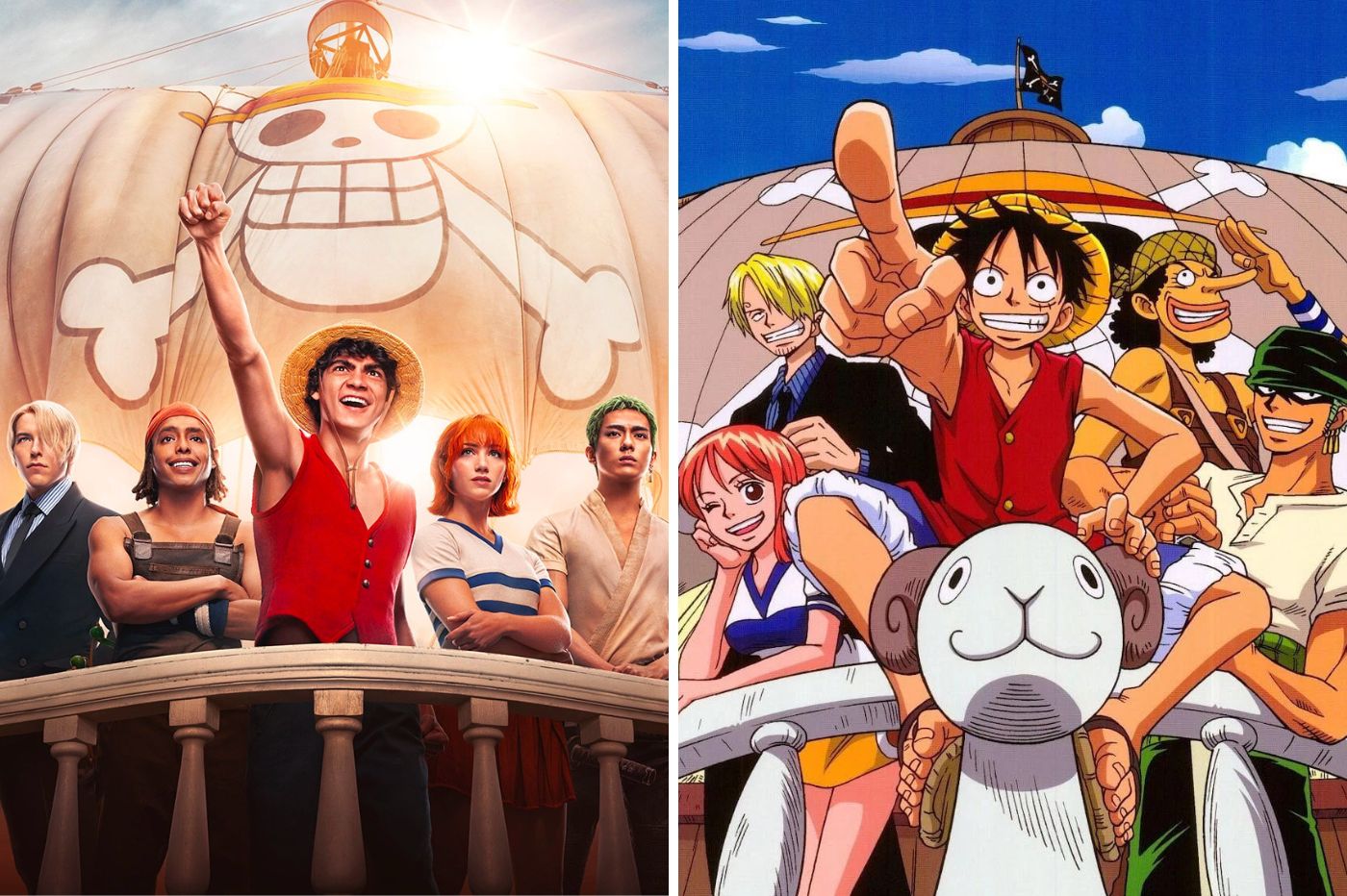 15 Biggest Differences Between Netflix's One Piece and the Anime/Manga -  What's on Netflix