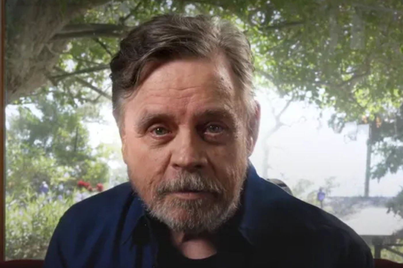 mark-hamill-video-espace