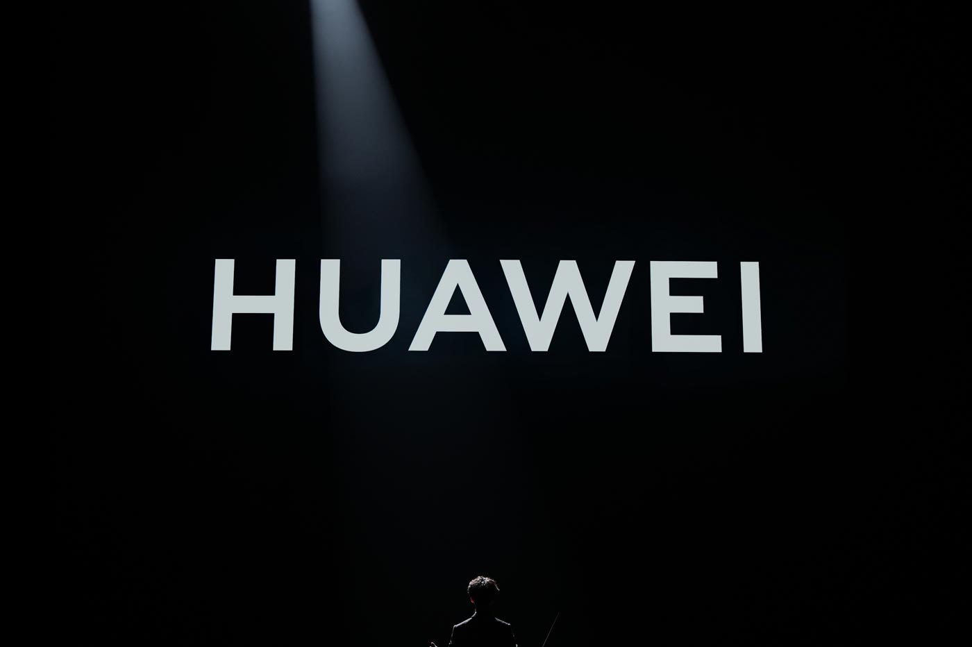 Huawei Logo Societe