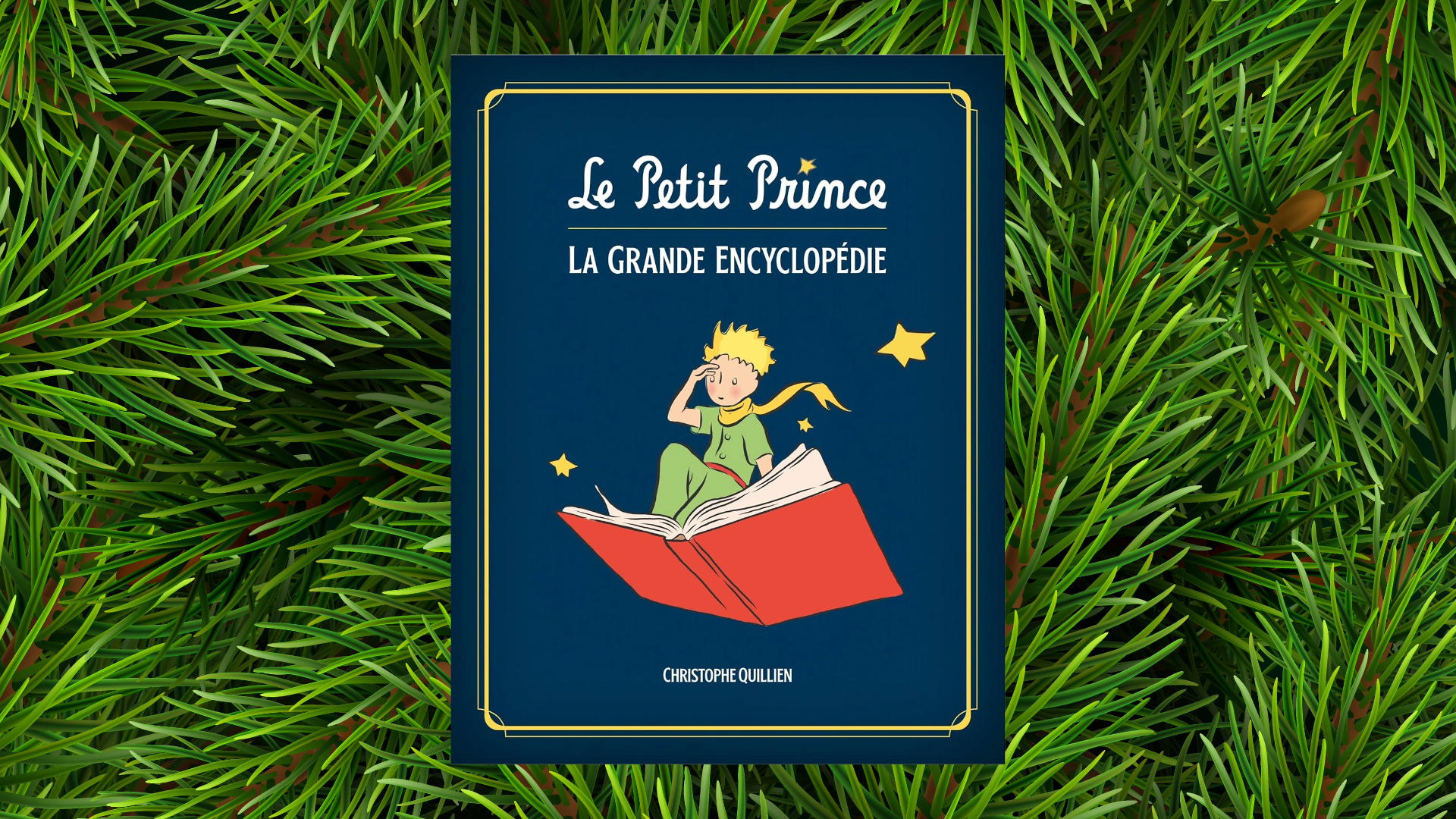 Selec Noel Beaux Livres (4)