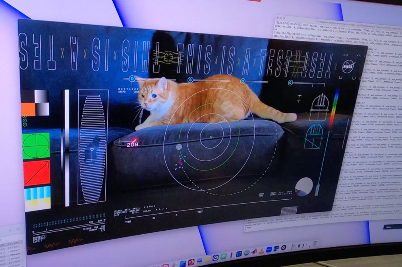 This cat has traveled more than 30 million kilometers in space thanks to NASA's laser