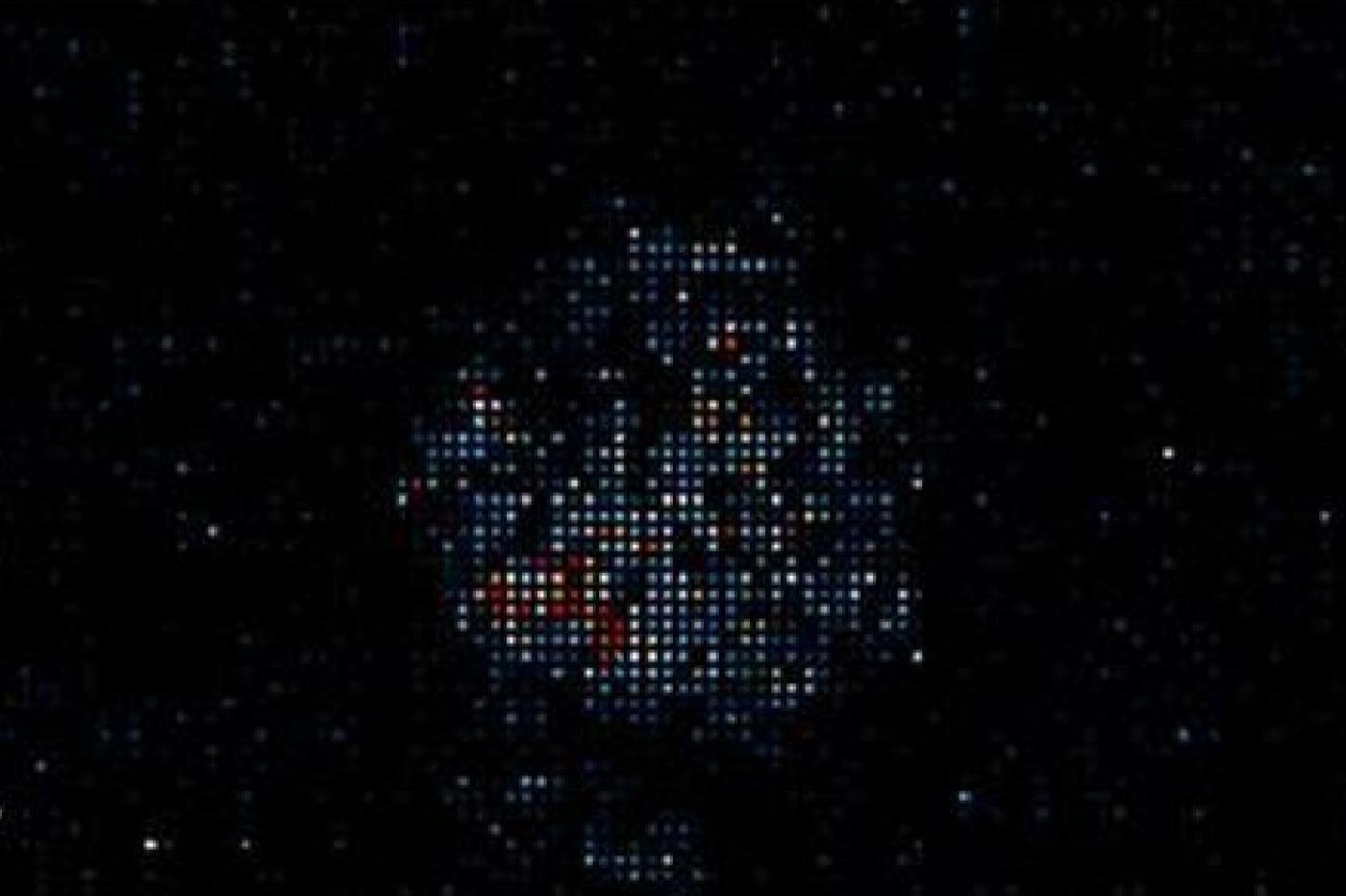 Brainoware Signal