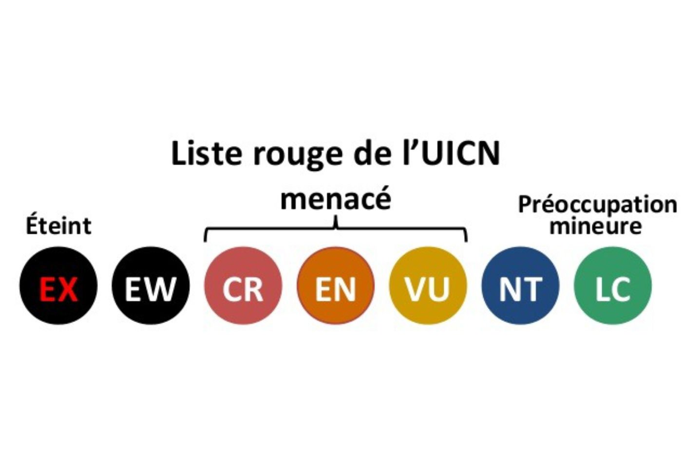 Liste Rouge UICN 