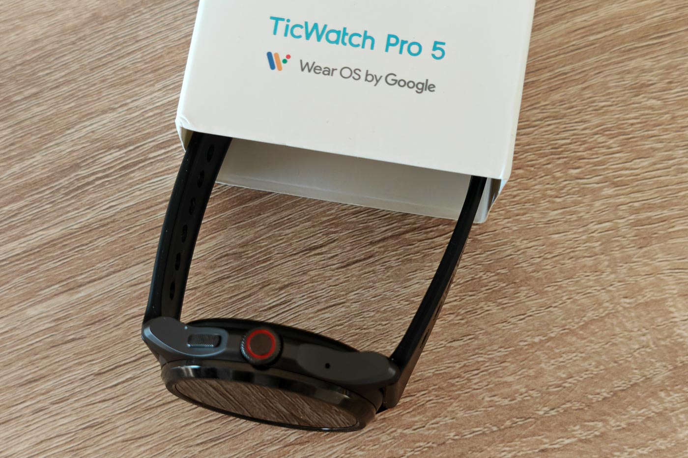 Mobvoi Ticwatch Pro 5 (1)