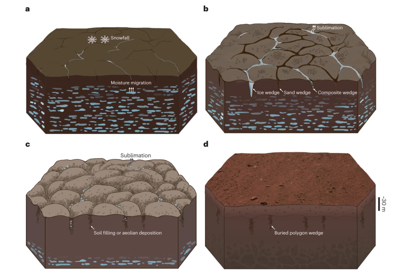 Polygone Mars Formation