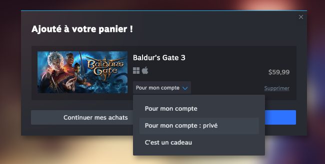 Steam Achats Privés