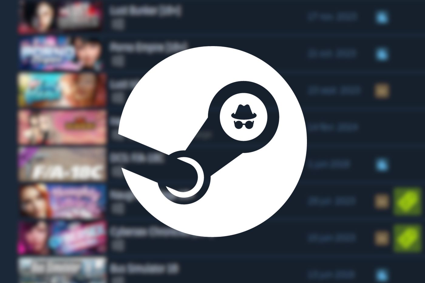 Steam Cacher Jeu