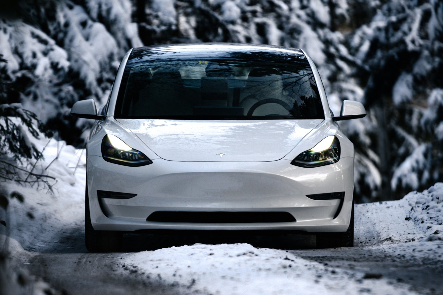 Tesla Hiver