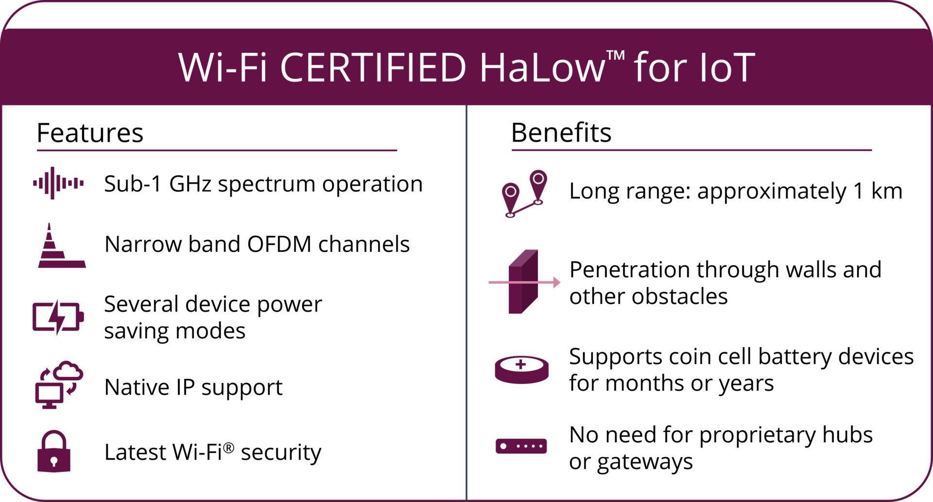 Wi Fi Halow 1
