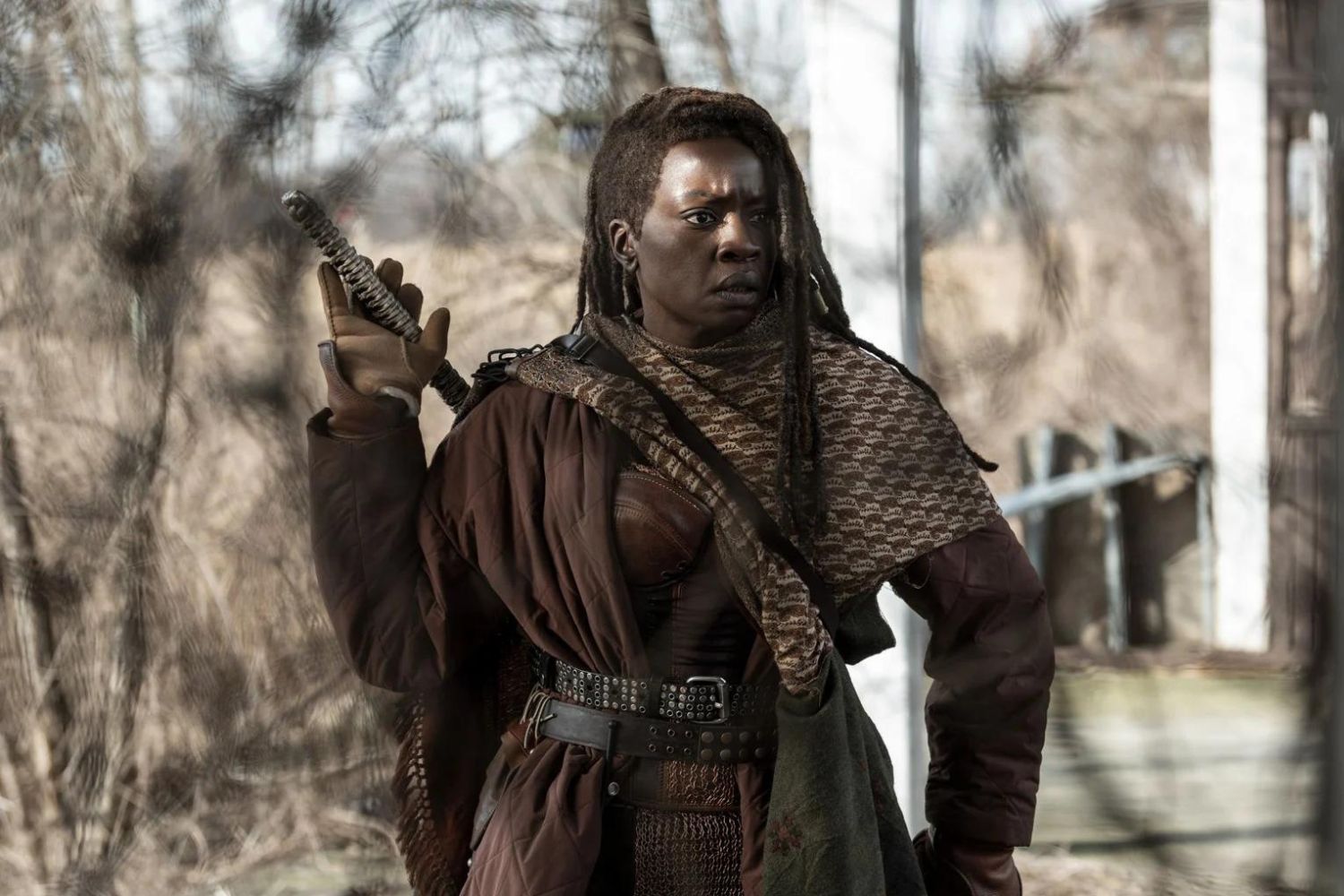 Michonne The Walking Dead