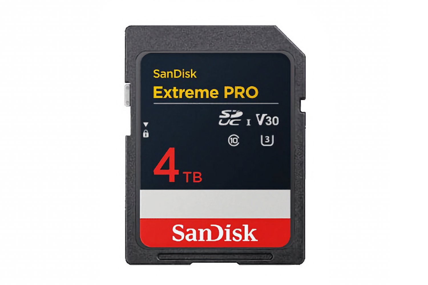 Sd Card