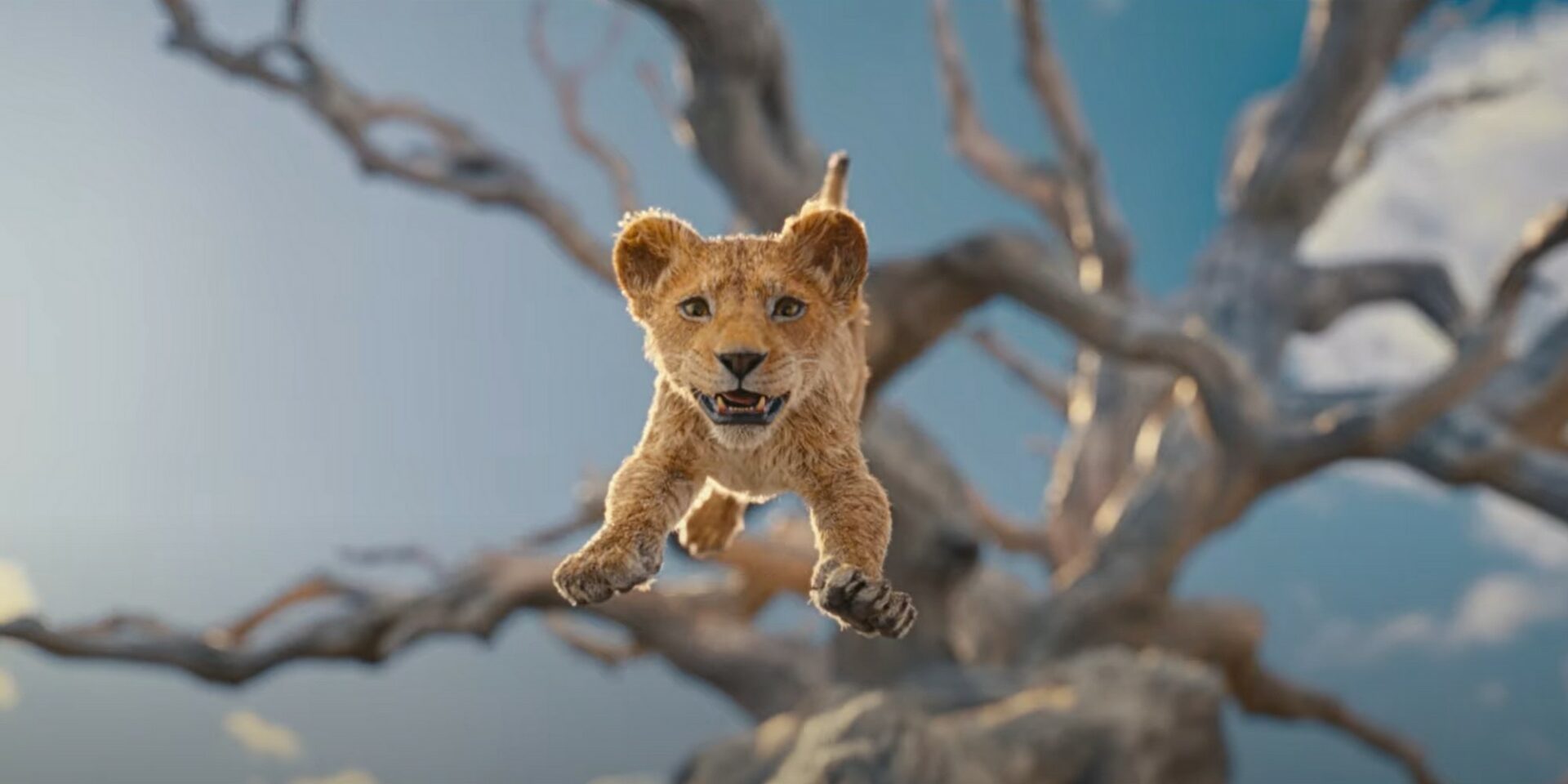 Mufasa : Disney dévoile un premier teaser pour le préquel du Roi Lion