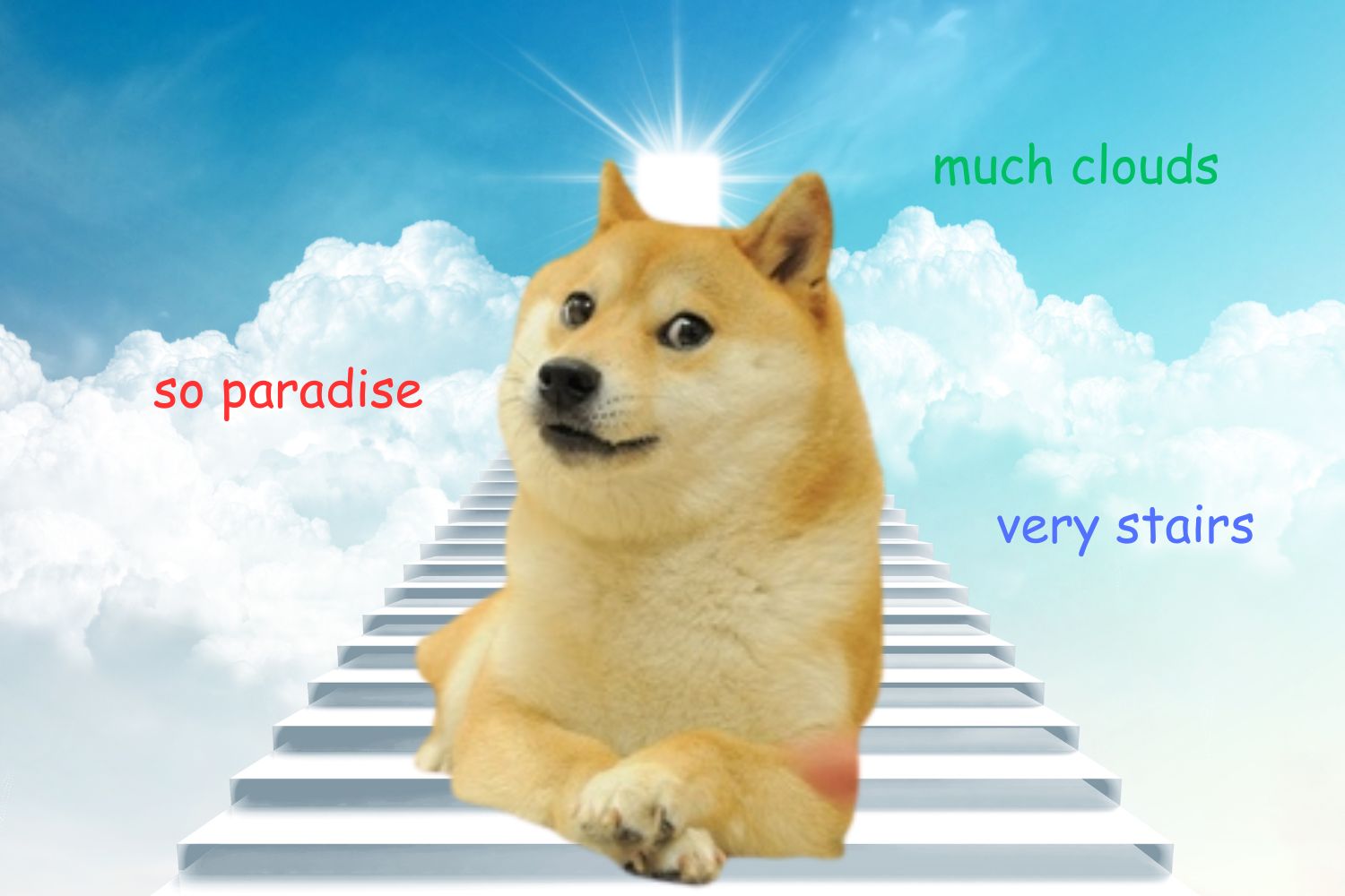 Doge Kobasu Mort