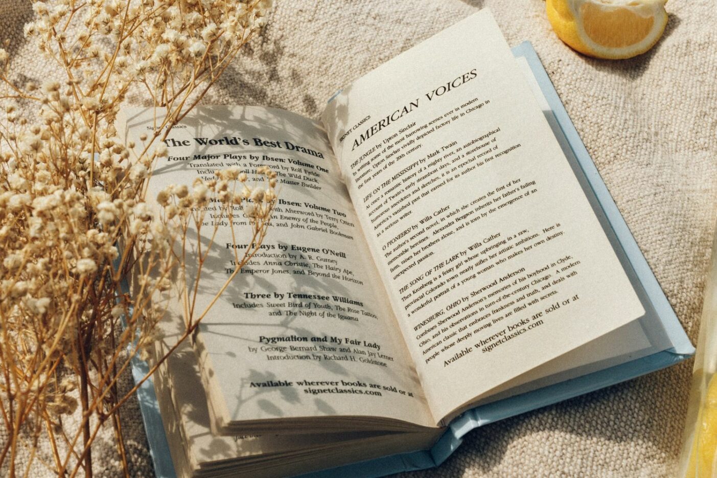 7 Romans À Mettre Dans Sa Valise Cet Été