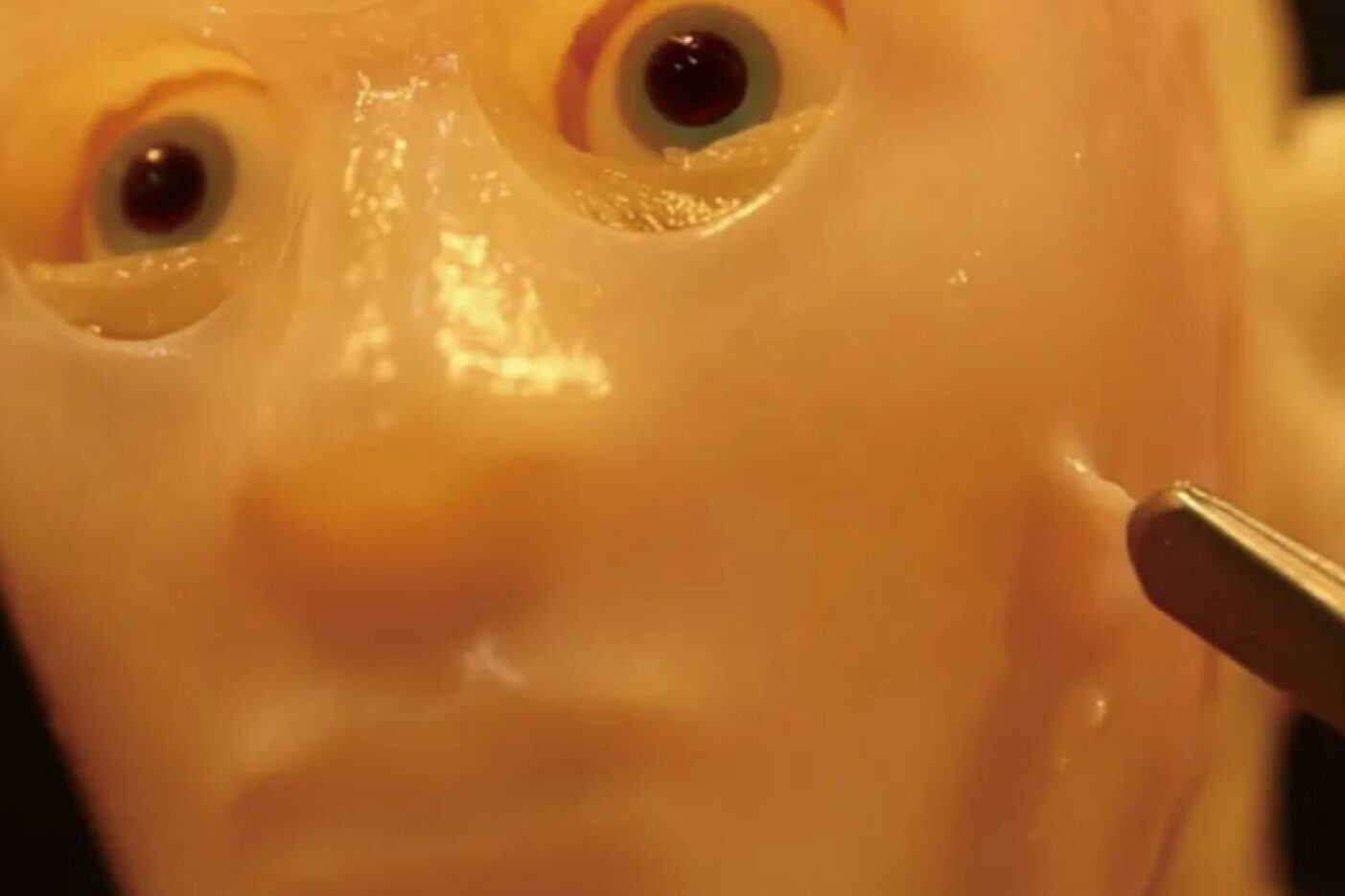 Artificial Robot Skin