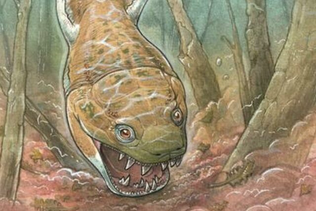 Gaiasia Jennyae Cover