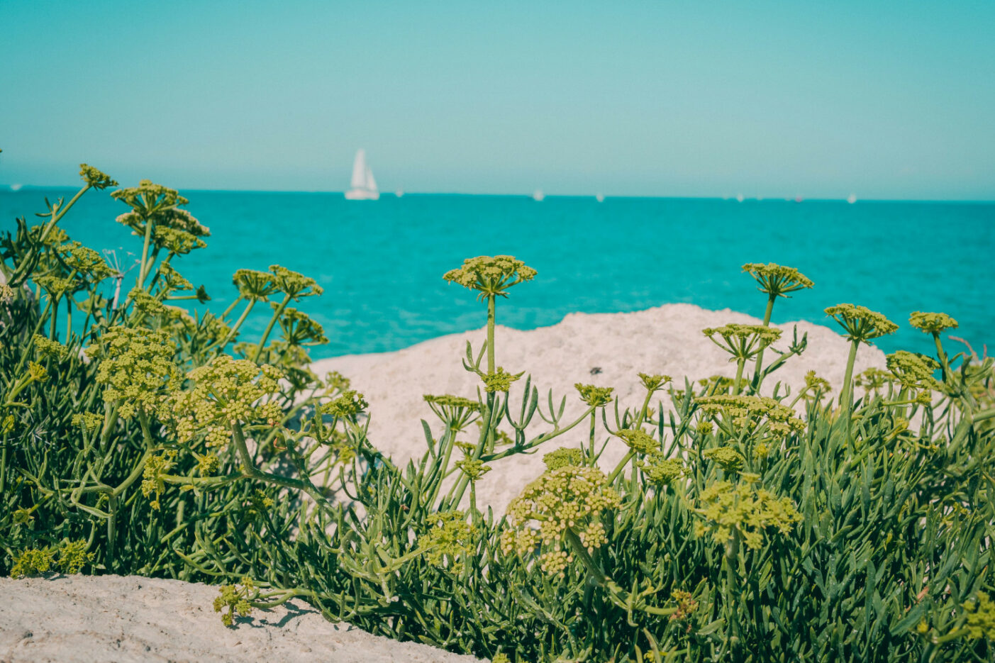 Badge télépéage Ulys vacances été