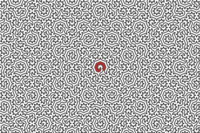 Quasicristal Labyrinthe