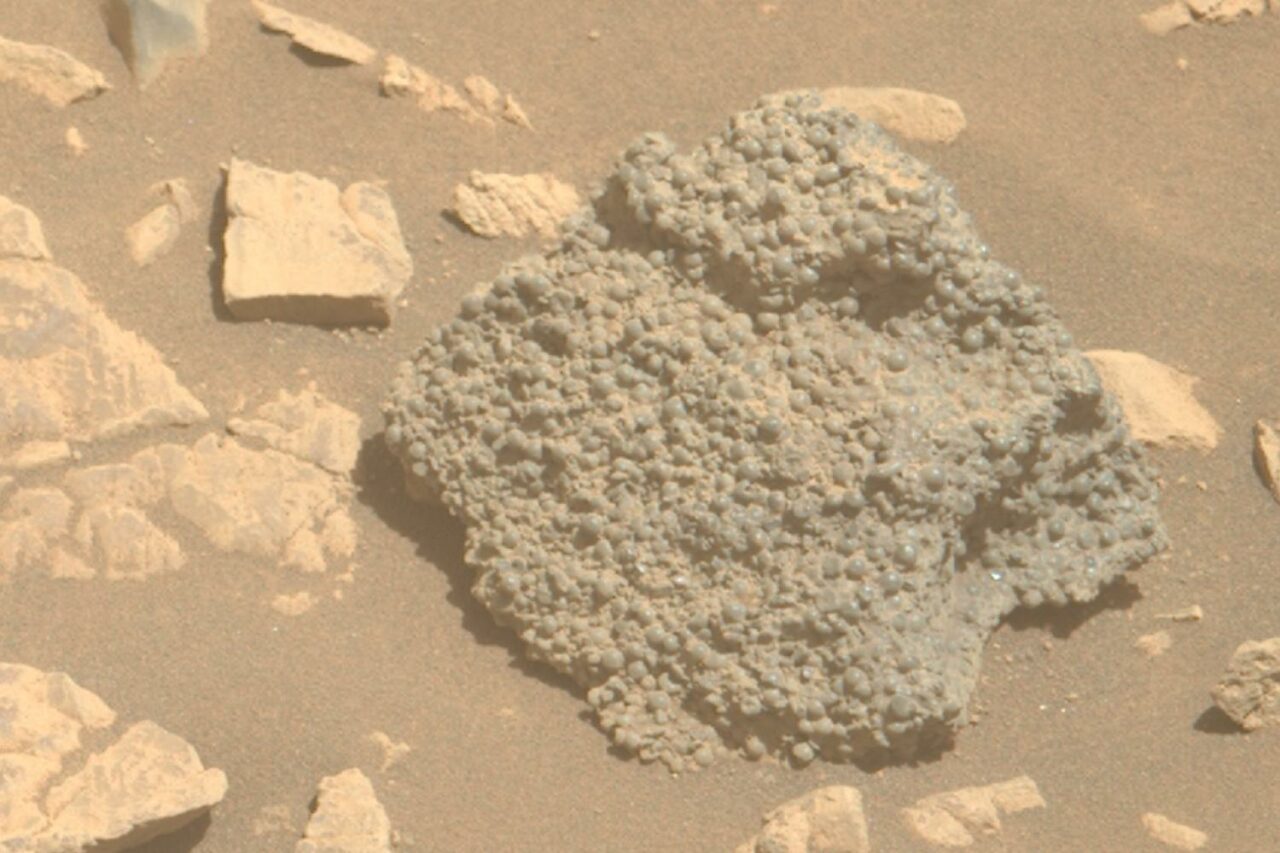Nasa Roche Perseverance Myrtilles