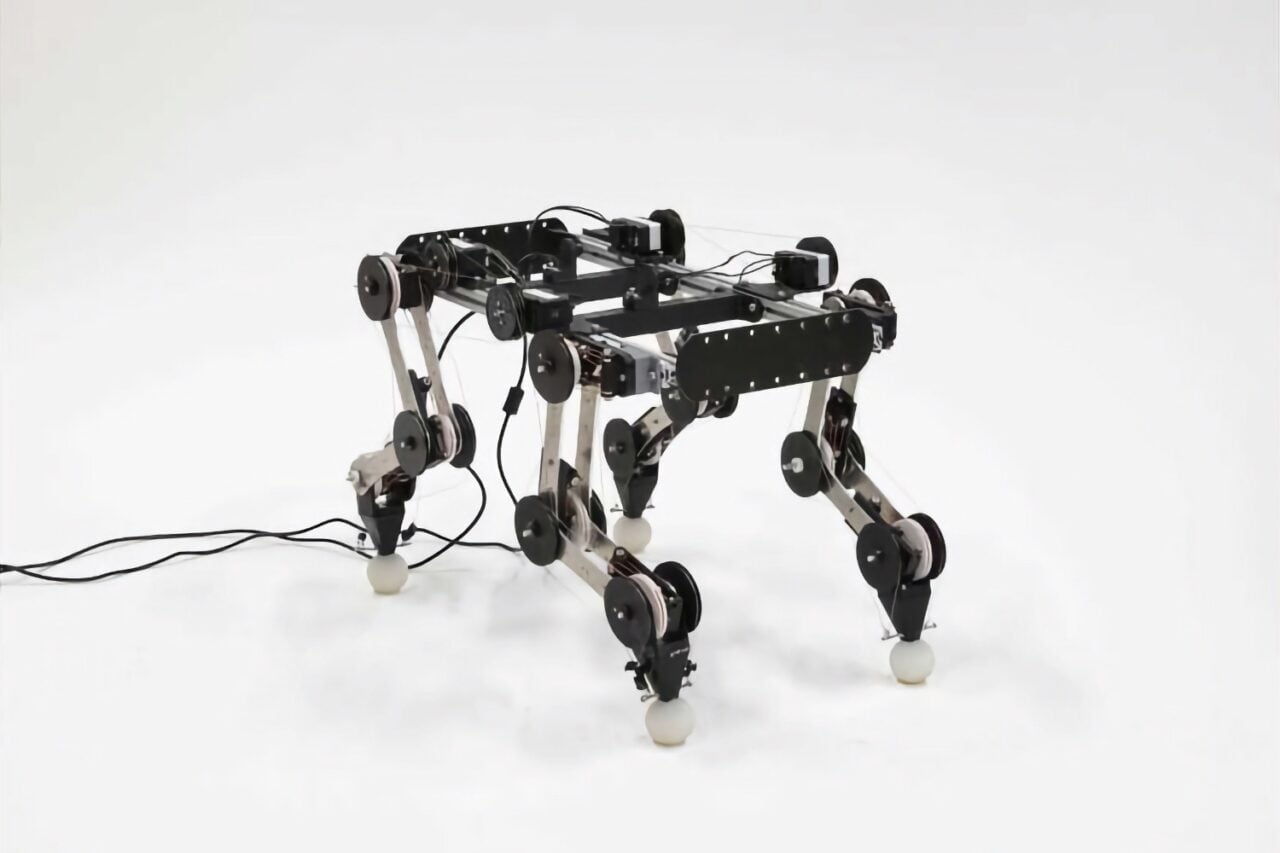 Robot Paws