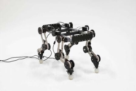 Robot Paws