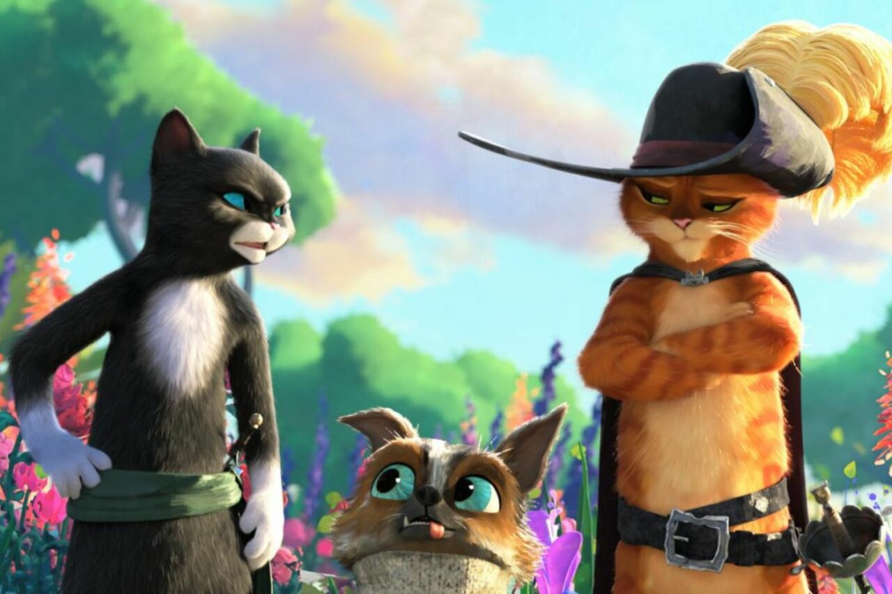 Chat Potté 2 Kitty Potté