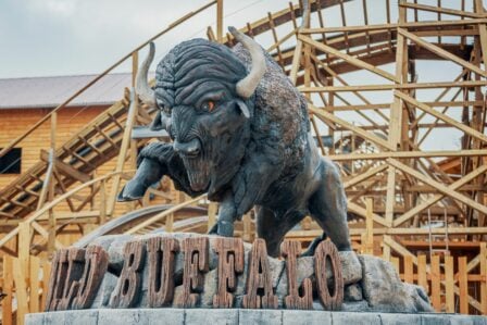 Wild Buffalo Mer De Sable