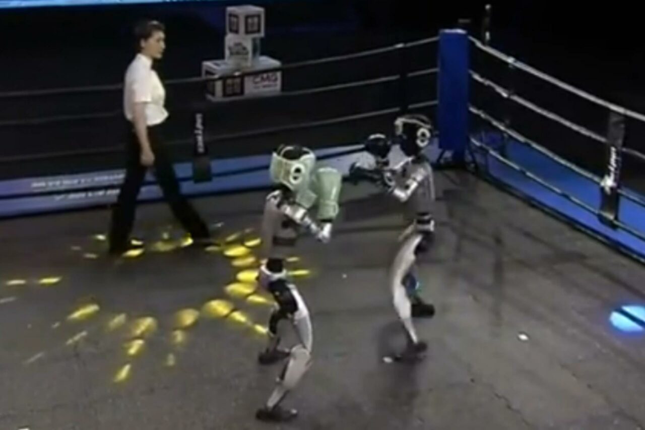Boxe Robots