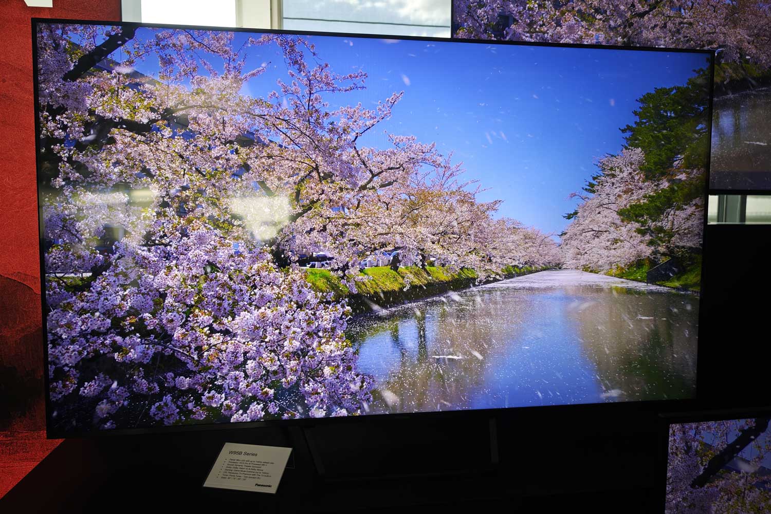 Panasonic Tv 2025 Oled Lcd (10)